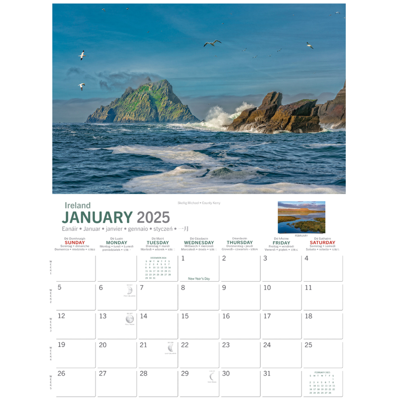 A4 Wild Ireland Calendar 2025
